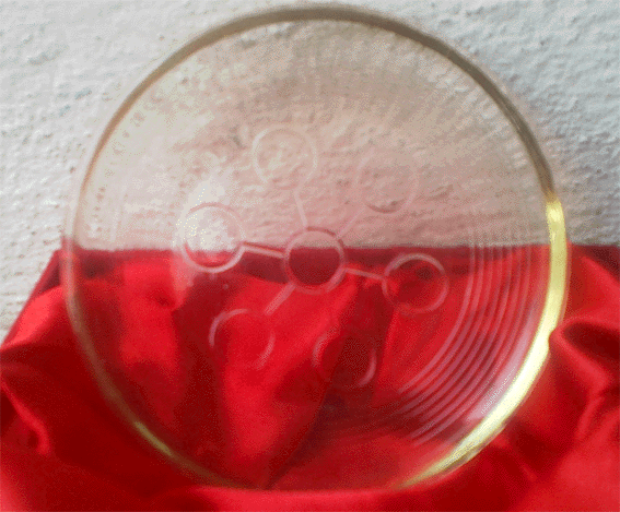 Bio Disc 2